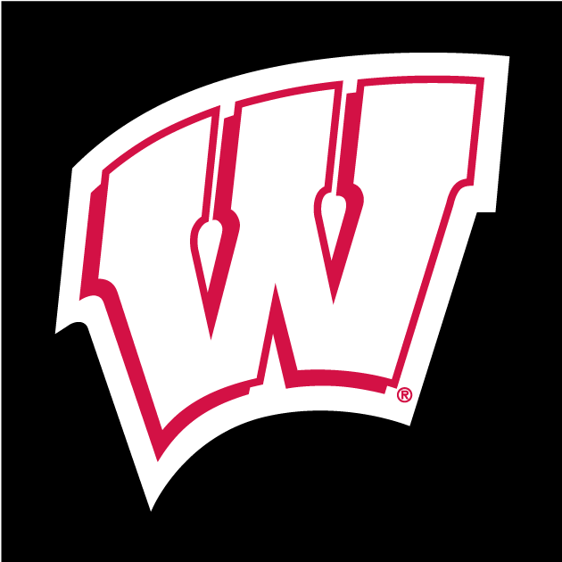 Wisconsin Badgers 1991-Pres Alternate Logo DIY iron on transfer (heat transfer)